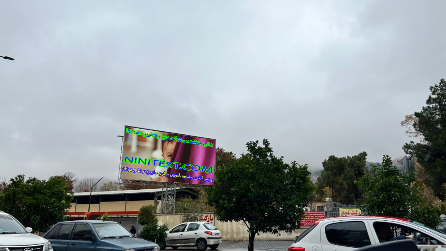 ninitest.com |    کارکردها و اختلالات عصب‌تکاملی و عملکردهای اجرایی (فصل 49 کتاب طب کودکان نلسون ): عملکرد هوشی فصل 49 نلسون 