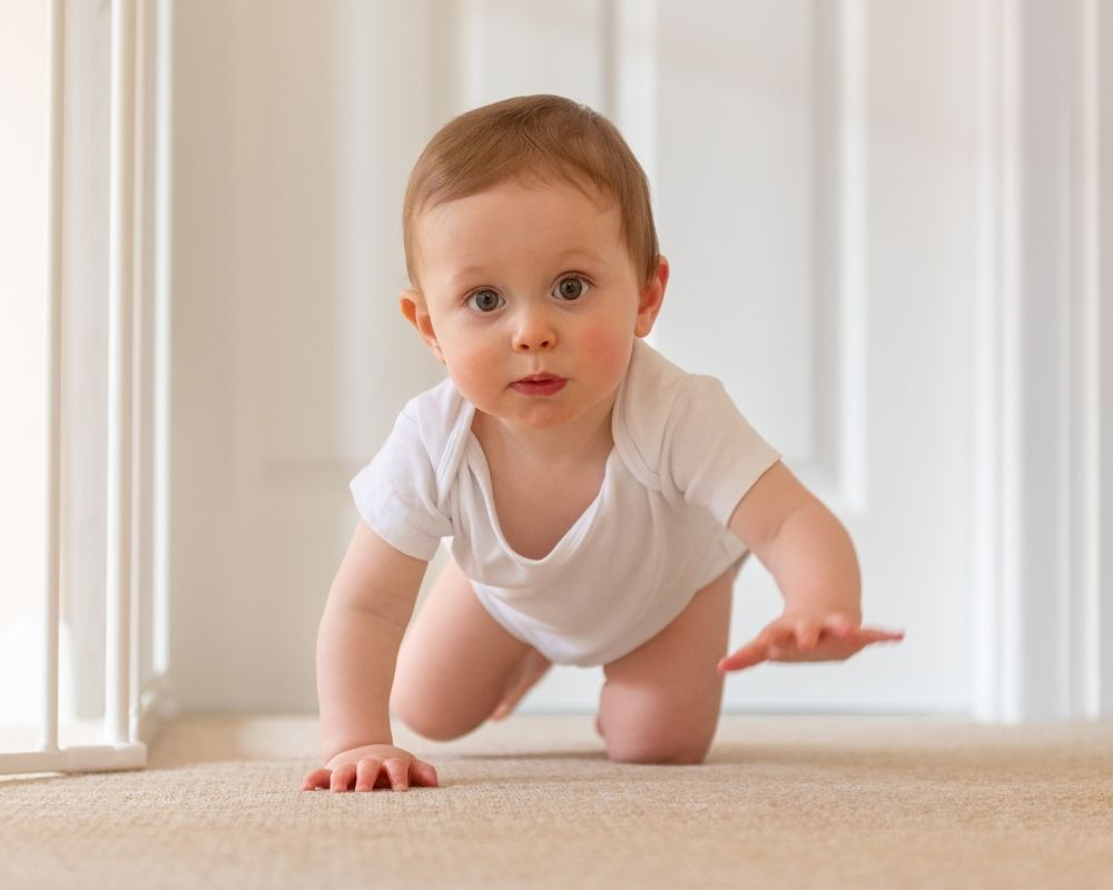 baby crawl 